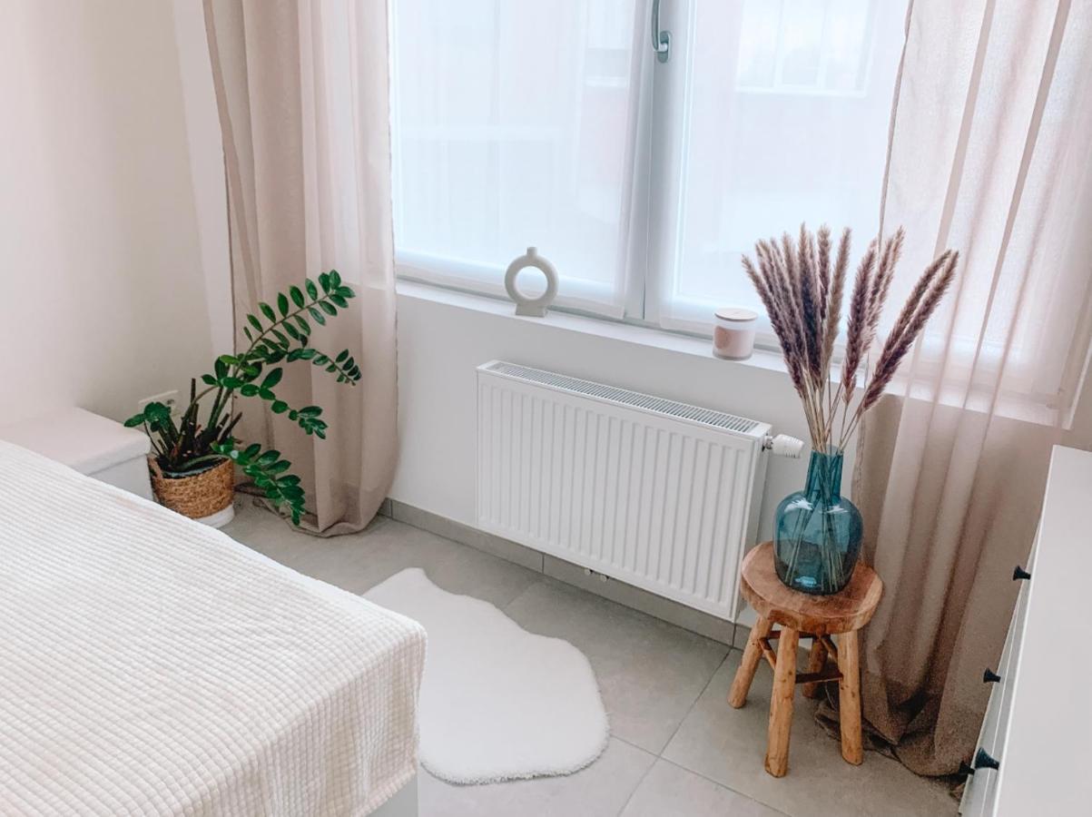Vintage Dream Apartment Zwijndrecht Екстериор снимка