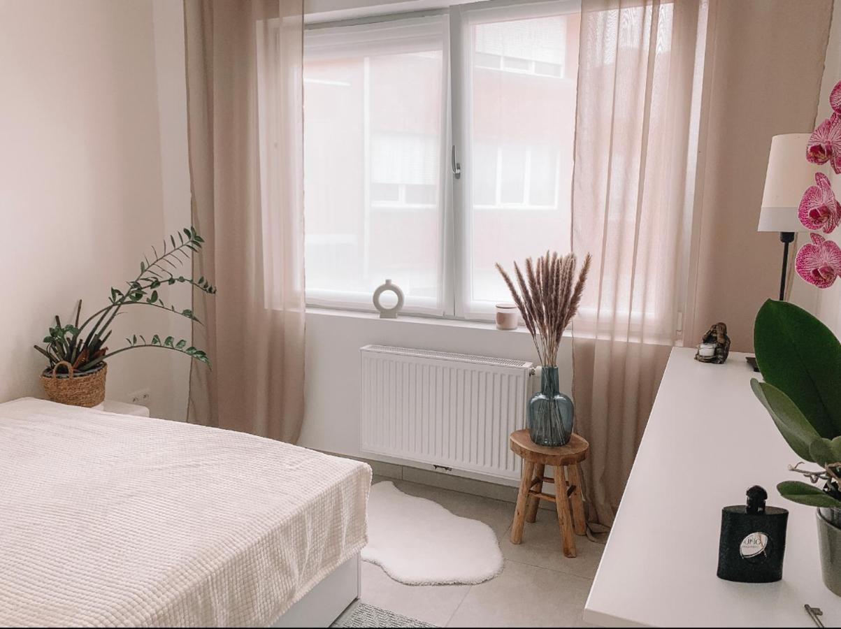 Vintage Dream Apartment Zwijndrecht Екстериор снимка