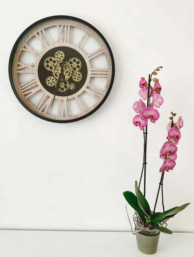 Vintage Dream Apartment Zwijndrecht Екстериор снимка