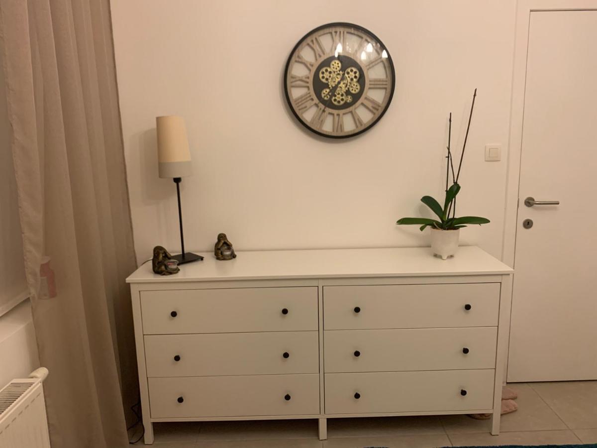Vintage Dream Apartment Zwijndrecht Екстериор снимка
