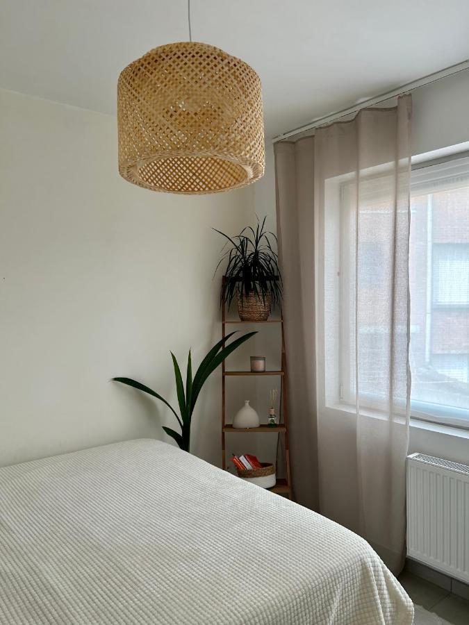 Vintage Dream Apartment Zwijndrecht Екстериор снимка